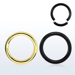 PVD coated 316L surgical steel segment hoop