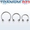 Titanium Grade 23 Horseshoe.